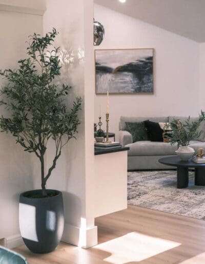 View of plant and decorated living room - interior designer Windham NH