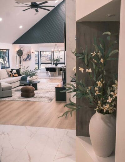 Living room with hidden plant - interior designer Manchester NH